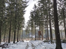 beziehungsweise.dorf