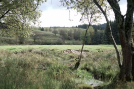 beziehungsweise.dorf