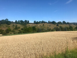 beziehungsweise.dorf